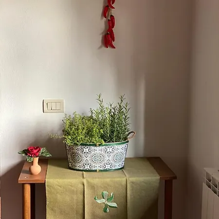 Masso Alle Rose Di Santarsiero Serena Farm stay